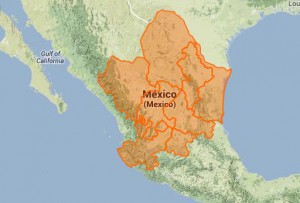 mexicana.jpg